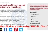 What Makes a University ‘World-Class’?