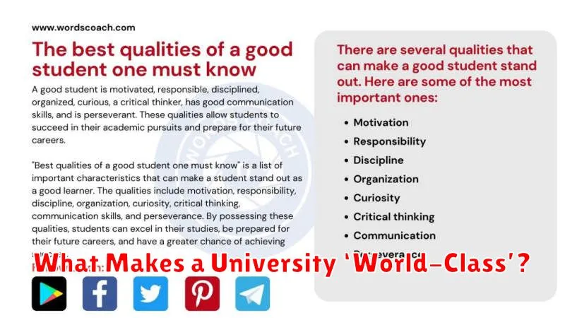 What Makes a University ‘World-Class’?